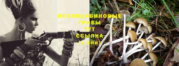 мдпв Медвежьегорск