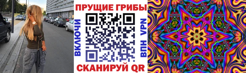 купить  сайты  Липецк  Псилоцибиновые грибы мухоморы 