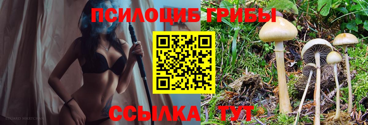 Псилоцибиновые грибы мухоморы  Вход с VPN  Липецк 